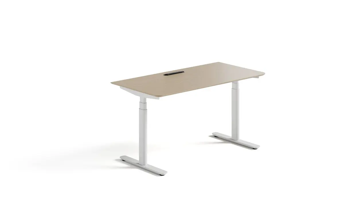 High-end executive furniture