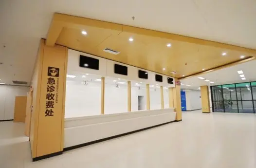 nanan-hospital view 1